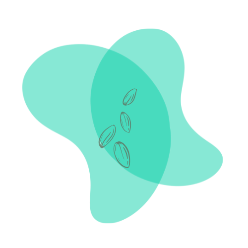 Ícono esencia